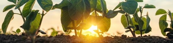 Agriculture Equipment: Key Categories