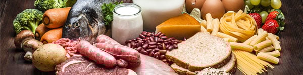 Food & Beverage Overview