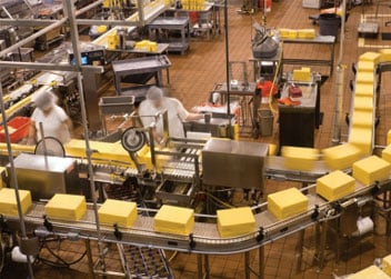 Advanced Materials Improve Uptime & Outcomes in Cheese Manufacturing