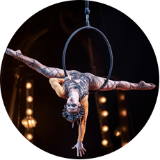 composite sheaves and precision bearings for circus flyover systems