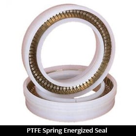 PTFE Spring Energized Seal