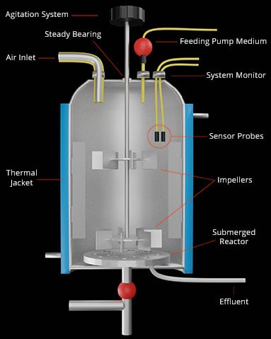 Stirred Tank Bioreactor