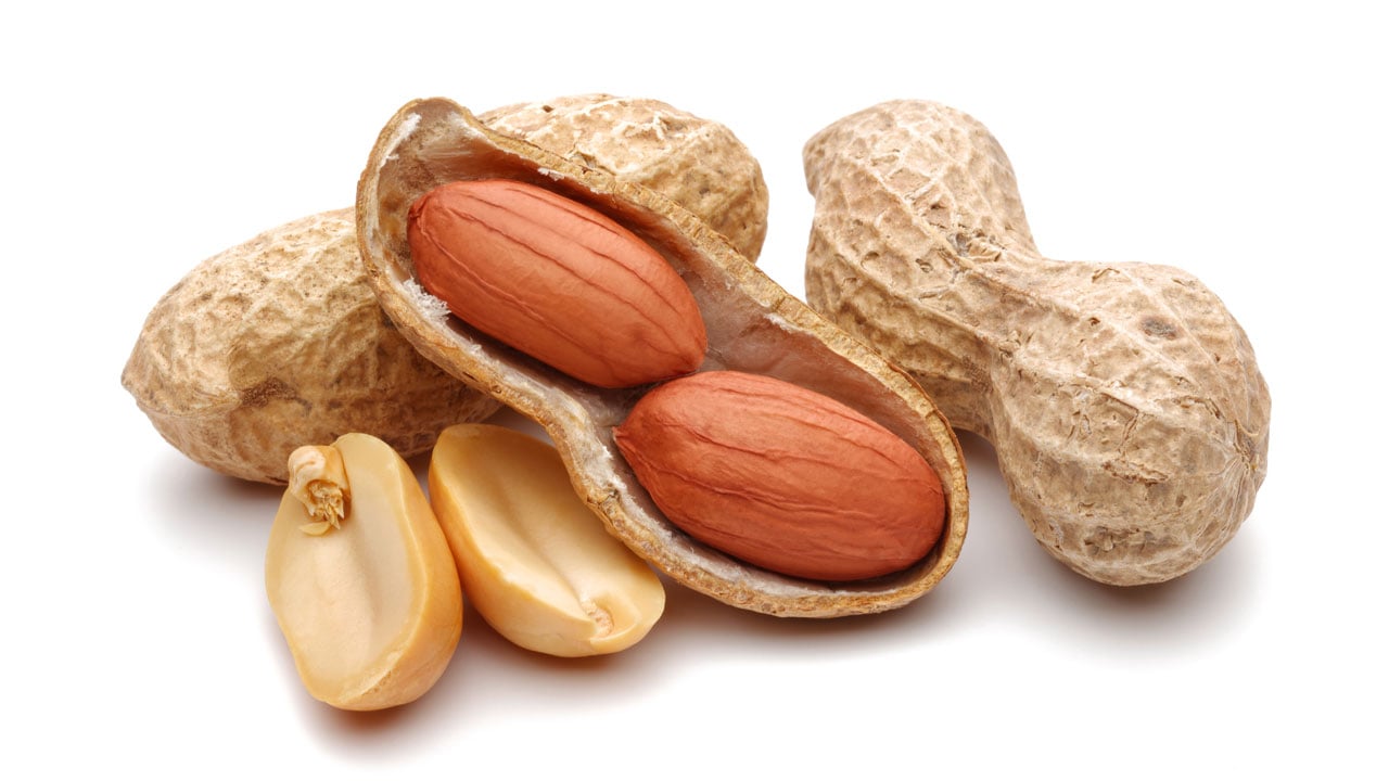 Food Grade Bearings for Peanut Processing