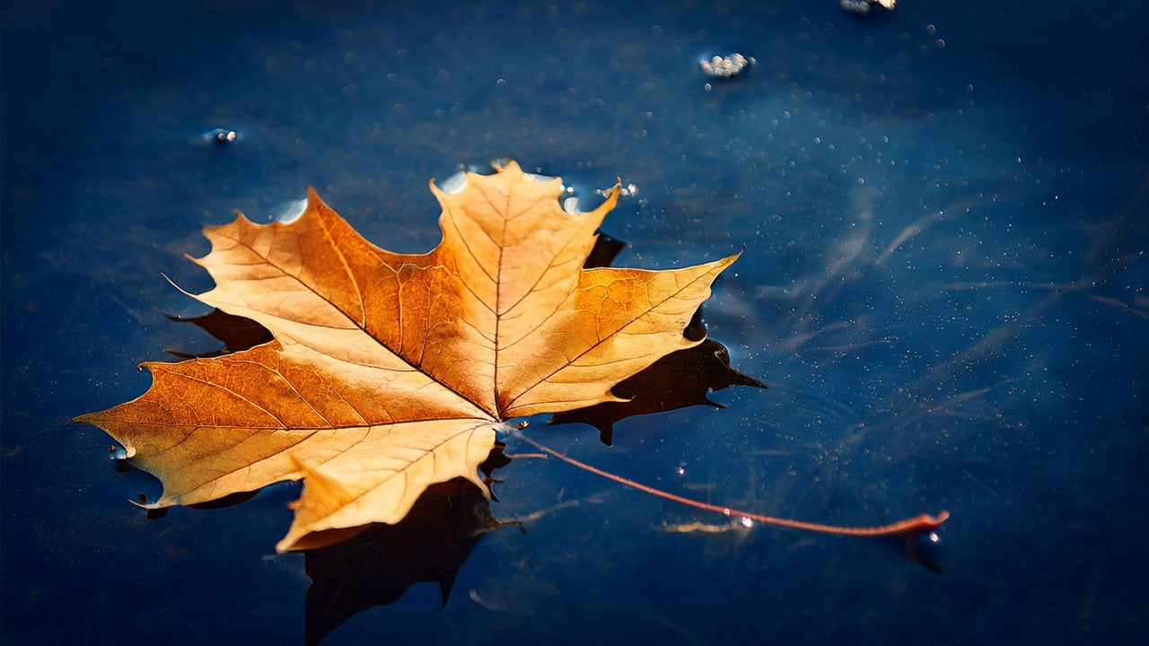 Q&A - Is Surface Finish Important to Bearing Design?